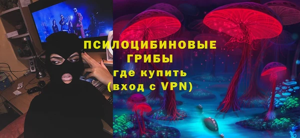 apvp Алексин