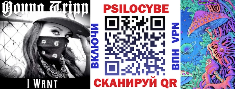 блэк спрут онион  Якутск  Псилоцибиновые грибы Psilocybine cubensis 