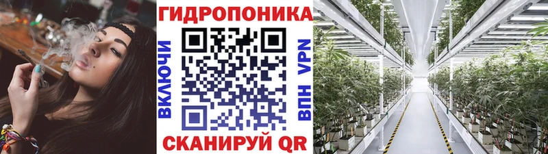 где продают   Якутск  Каннабис гибрид 